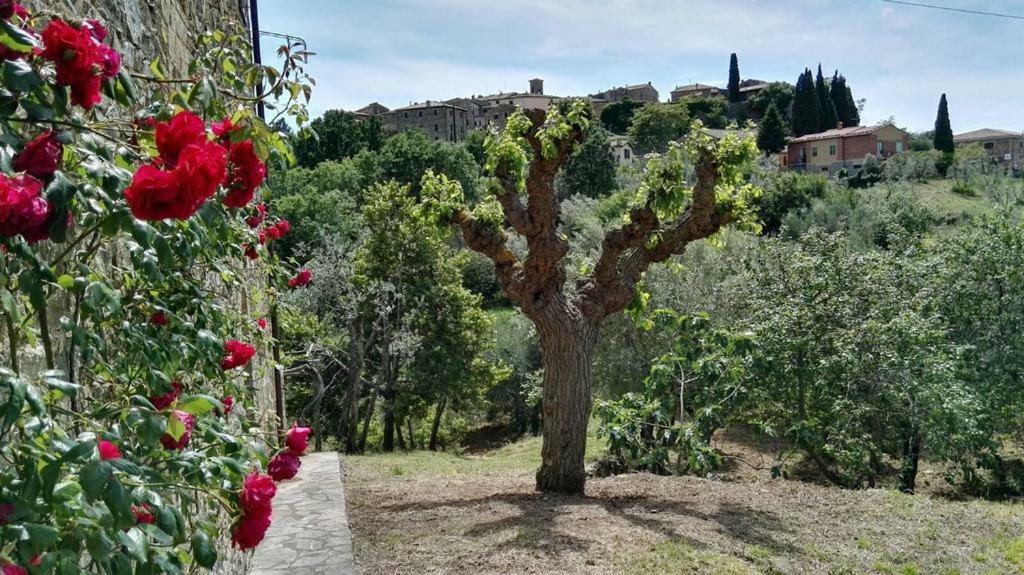 Colombaio In Colle Bed and Breakfast Sant'Angelo in Colle Εξωτερικό φωτογραφία