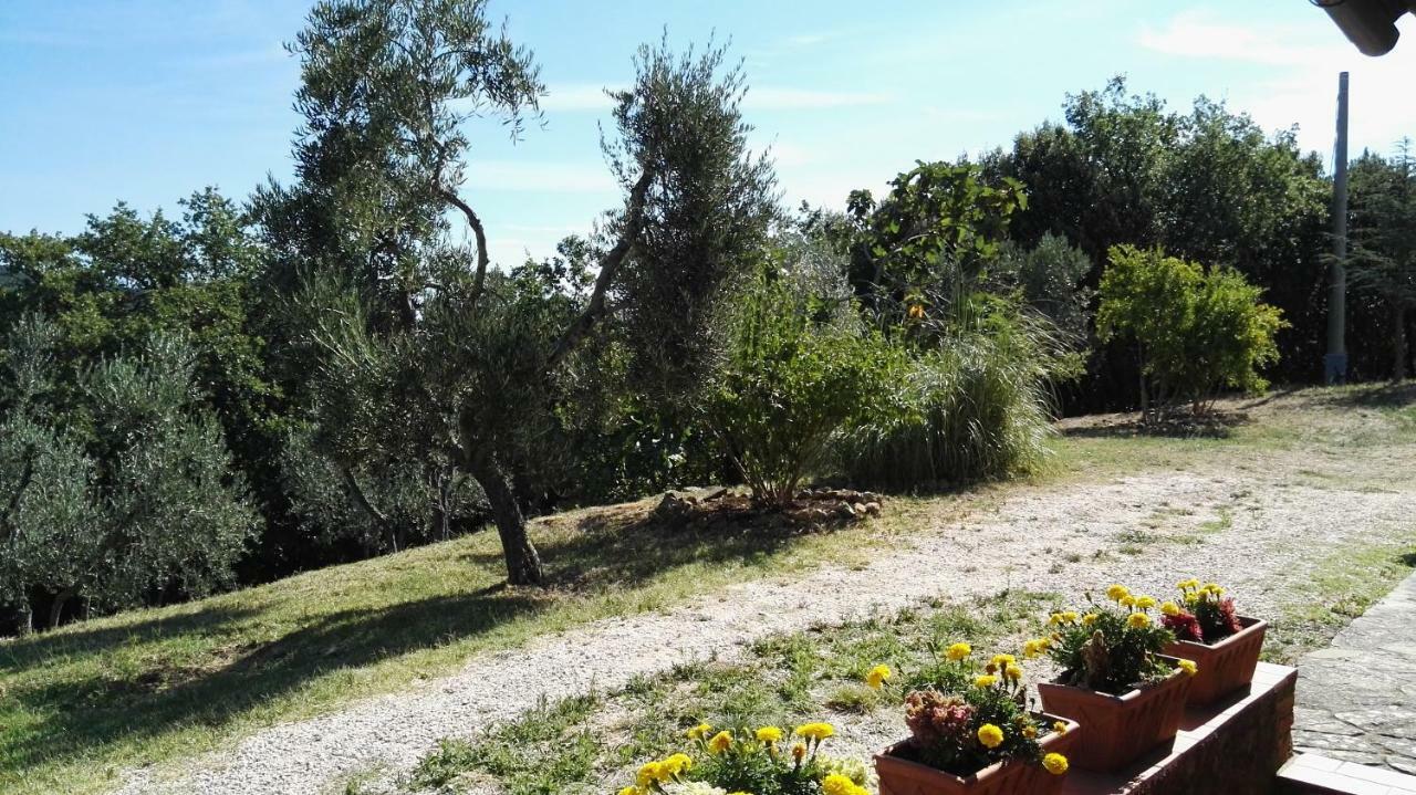 Colombaio In Colle Bed and Breakfast Sant'Angelo in Colle Εξωτερικό φωτογραφία